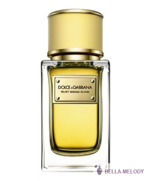 Dolce Gabbana (D&G) Velvet Mimosa Bloom