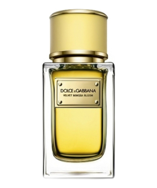 Dolce Gabbana (D&G) Velvet Mimosa Bloom