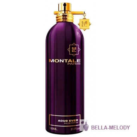 Montale Aoud Ever 11