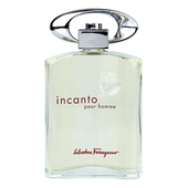 Salvatore Ferragamo Incanto Pour Homme