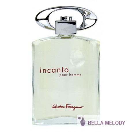 Salvatore Ferragamo Incanto Pour Homme 11