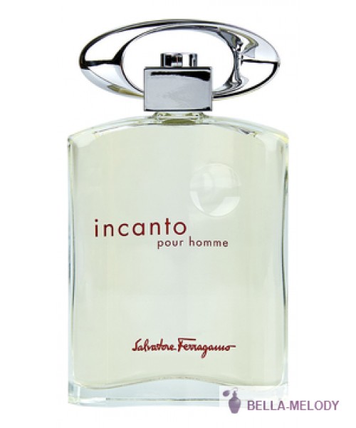 Salvatore Ferragamo Incanto Pour Homme