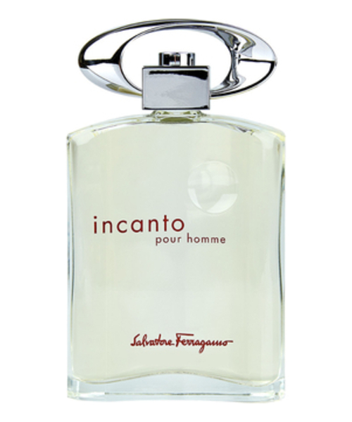 Salvatore Ferragamo Incanto Pour Homme