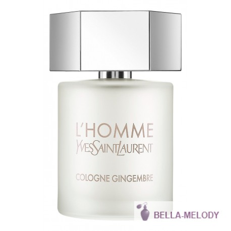 YSL L'Homme Cologne Gingembre 11