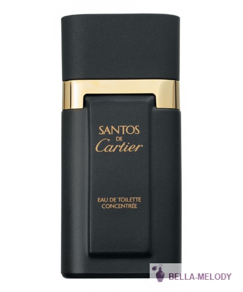 Cartier Santos Concentree