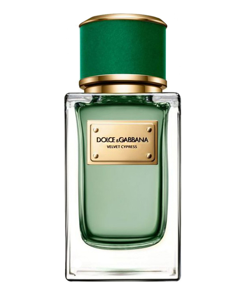 Dolce Gabbana (D&G) Velvet Cypress