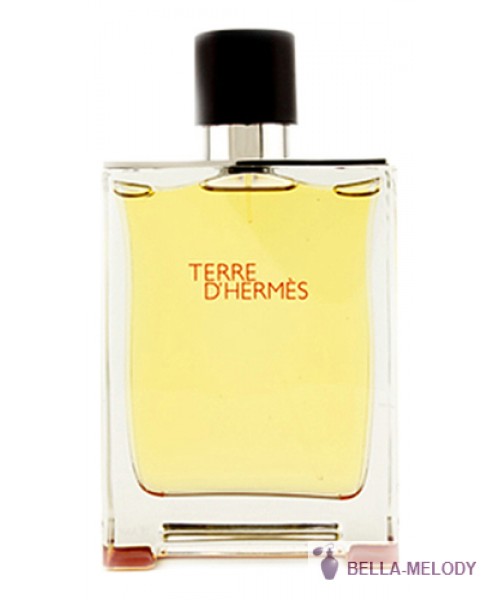 Hermes Terre D'Hermes Pour Homme