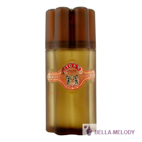 Remy Latour Cigar 11