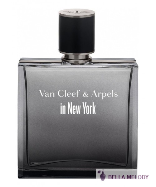 Van Cleef & Arpels In New York