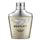 Bentley Infinite Rush