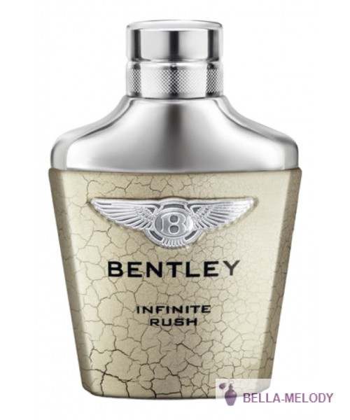 Bentley Infinite Rush