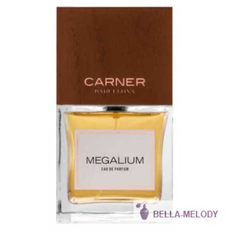 Carner Barcelona Megalium 11