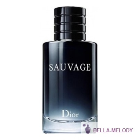 Christian Dior Sauvage 2015 11