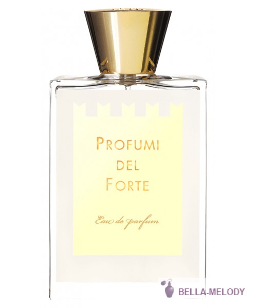 Profumi Del Forte Versilia Vintage Ambra Mediterranea