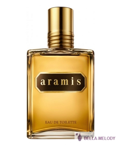 Aramis Pour Homme