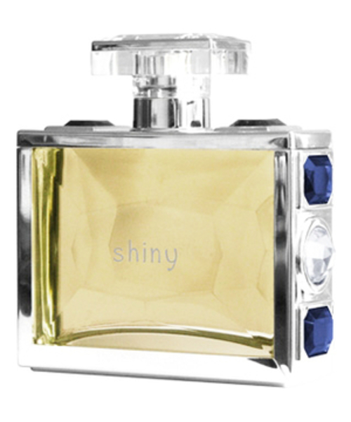 Giorgio Monti Shiny men