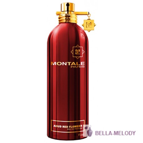 Montale Aoud Red Flowers 11