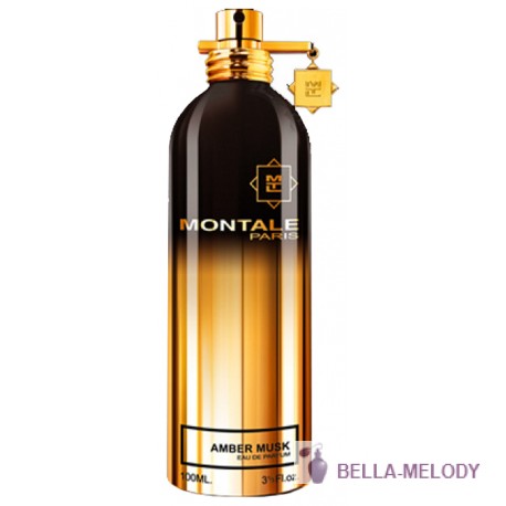 Montale Amber Musk 11