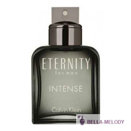 Calvin Klein Eternity For Men Intense 11