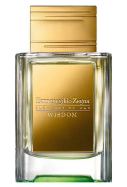 Ermenegildo Zegna Wisdom