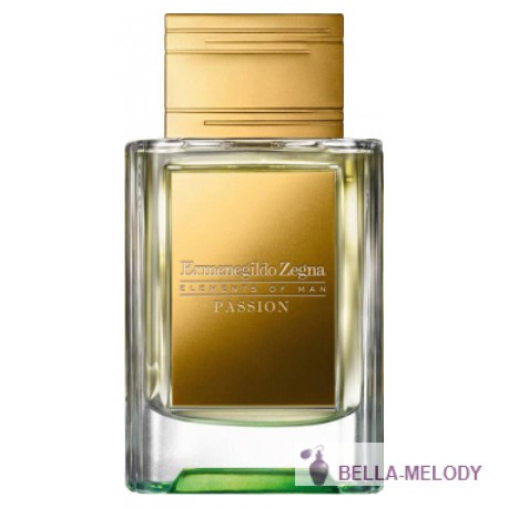 Ermenegildo Zegna Passion 11