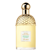 Guerlain Aqua Allegoria Bergamote Calabria