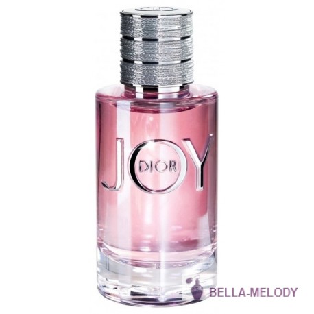 Christian Dior Joy 11