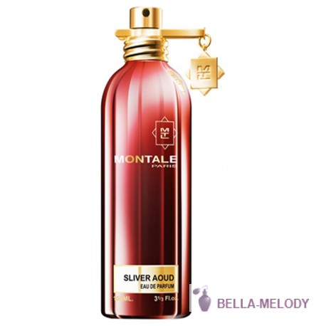 Montale Sliver Aoud 11