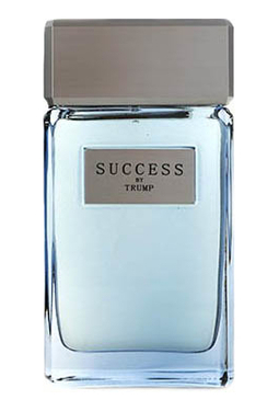 Donald Trump Success