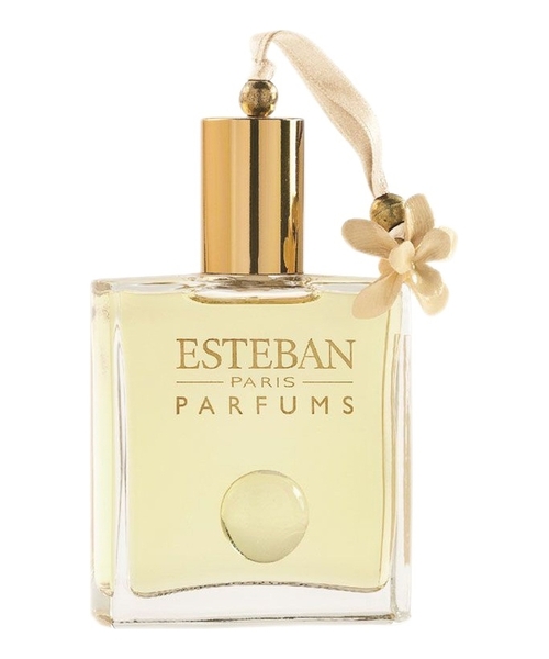 Esteban Angelic Flower