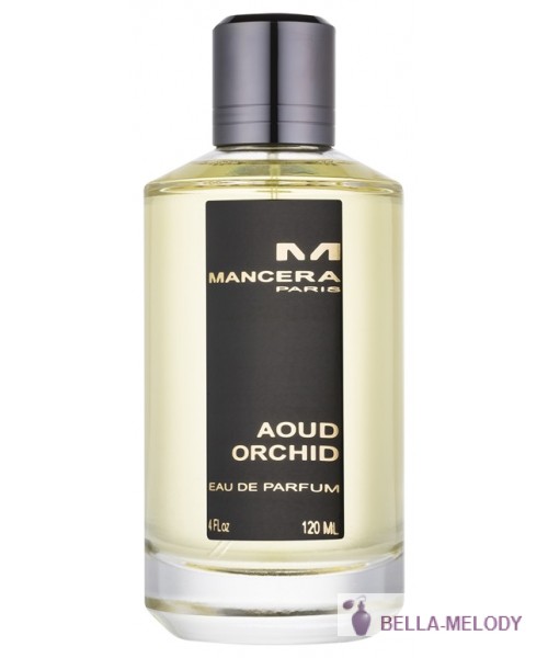 Mancera Aoud Orchid