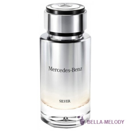 Mercedes-Benz Silver For Men 11