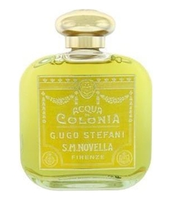 Santa Maria Novella Magnolia