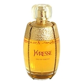 YSL Yvresse