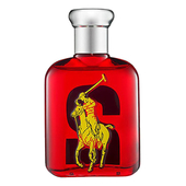 Ralph Lauren Big Pony 2