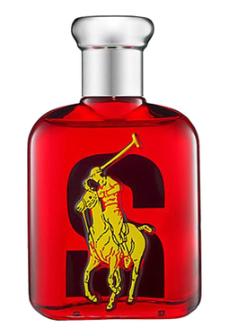 Ralph Lauren Big Pony 2