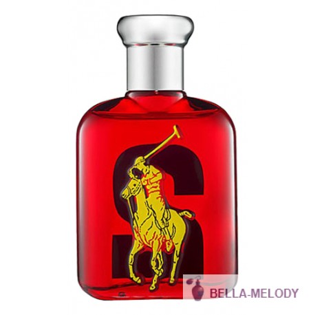 Ralph Lauren Big Pony 2 11