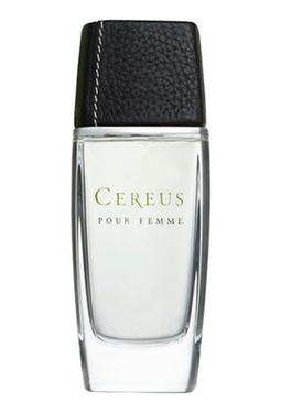 Cereus No12