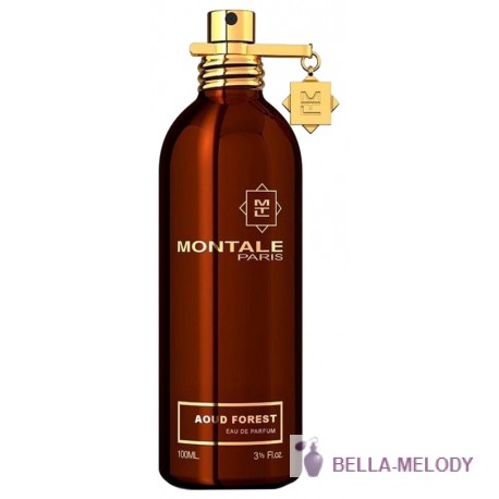 Montale Aoud Forest 11