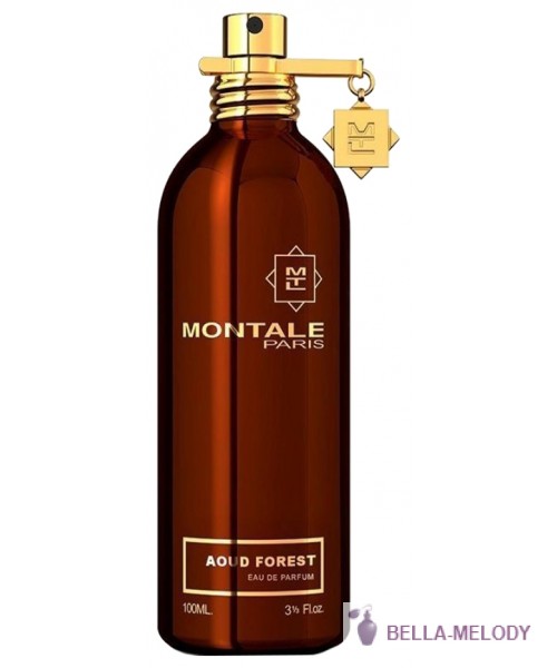 Montale Aoud Forest