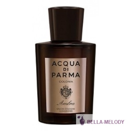 Acqua Di Parma Colonia Ambra 11