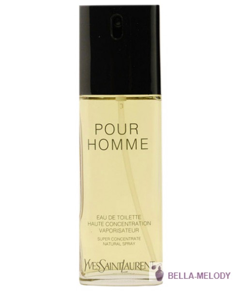 YSL Pour Homme Concentration