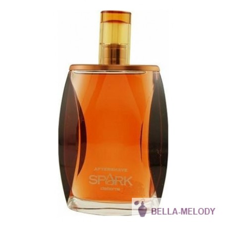 Liz Claiborne Spark For Men 11