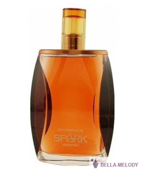 Liz Claiborne Spark For Men