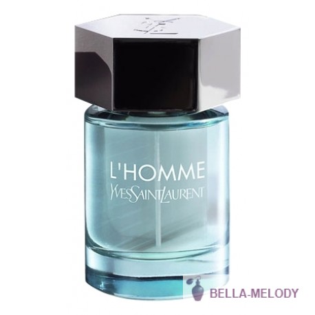 YSL L'Homme Summer Fragrance 11