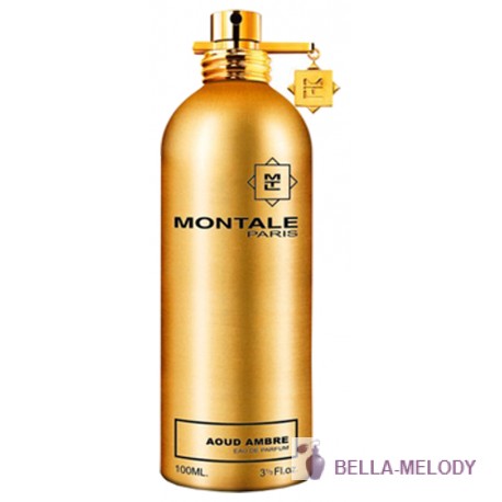 Montale Aoud Ambre 11