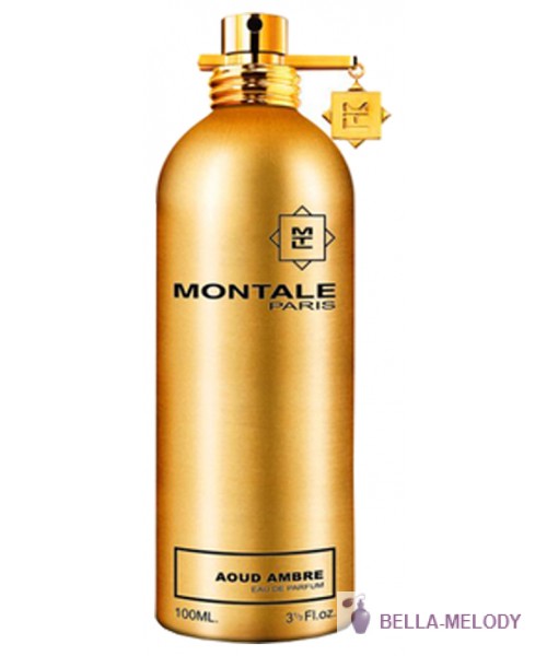 Montale Aoud Ambre