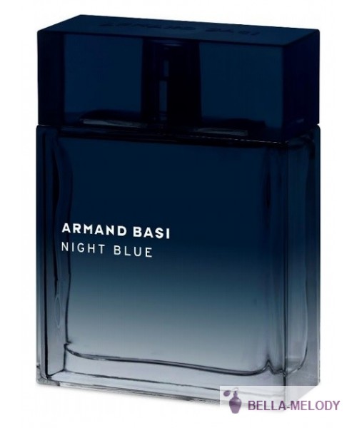 Armand Basi Night Blue