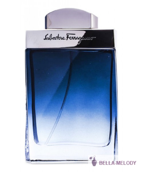 Salvatore Ferragamo Subtil Pour Homme