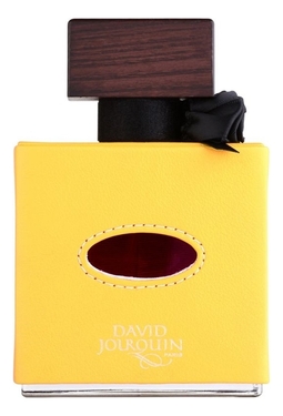 David Jourquin Cuir Solaire